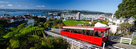 Wellington Day Tours .